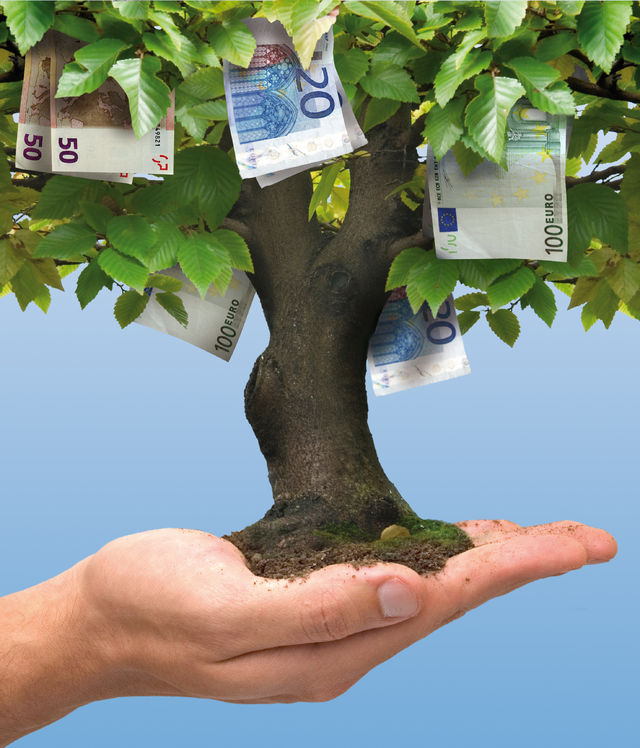 Moneygrowingontree